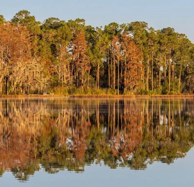 Davenport Florida, Florida