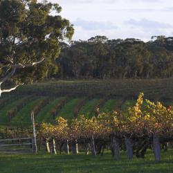 Barossa Valley Accommodation Deal