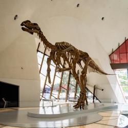 National Museum of Australia, Canberra Accommodation Deal