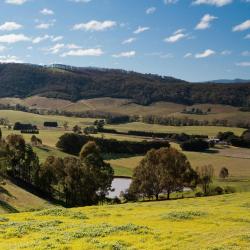 Victoria Accommodation Deal