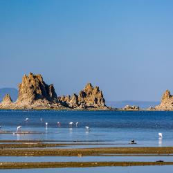 Djibouti Accommodation Deal