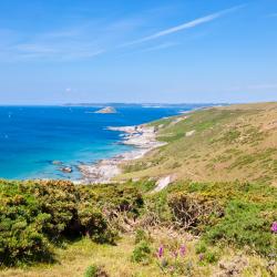 Devon Accommodation Deal