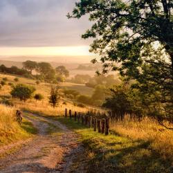 Hertfordshire Accommodation Deal