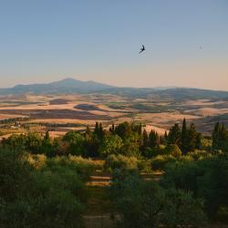 Tuscany Accommodation Deal
