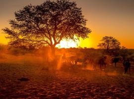 Bagatelle Kalahari Boutique Farmhouse Lodge Accommodation Deal