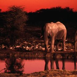 Okaukuejo Accommodation Deal