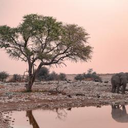 Outjo Accommodation Deal