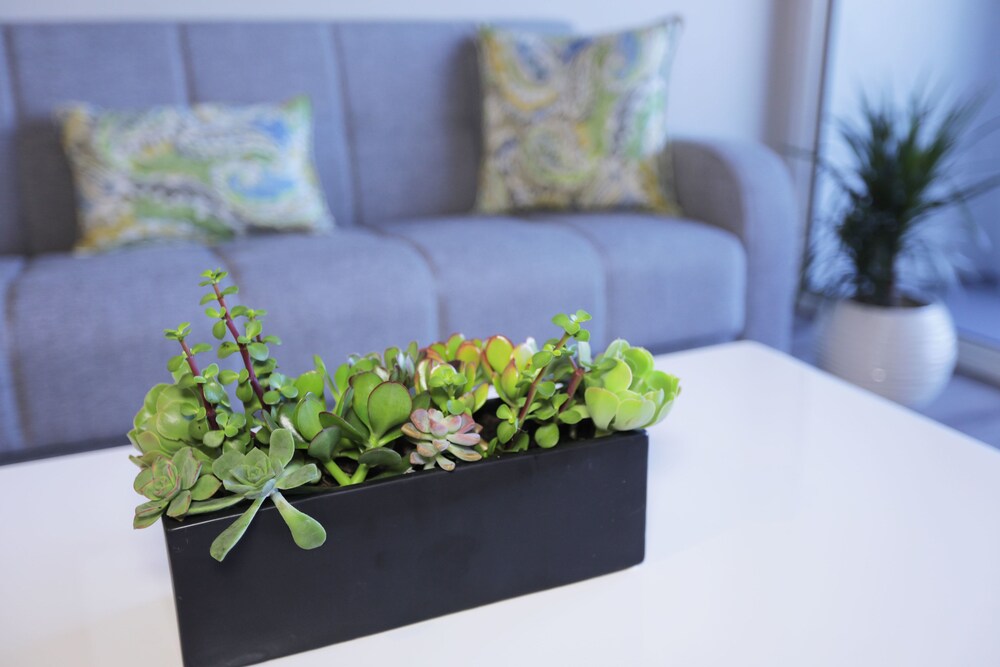 Hollywood Bright Suites - thumb 0