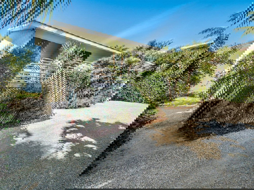 New Latitude - thumb 2