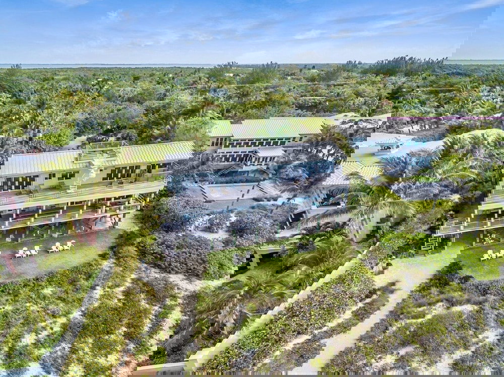 New Latitude - thumb 3