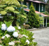 Aloha Happy Place - Accommodation Deal