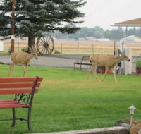 Rim Rock Motel - Accommodation Deal