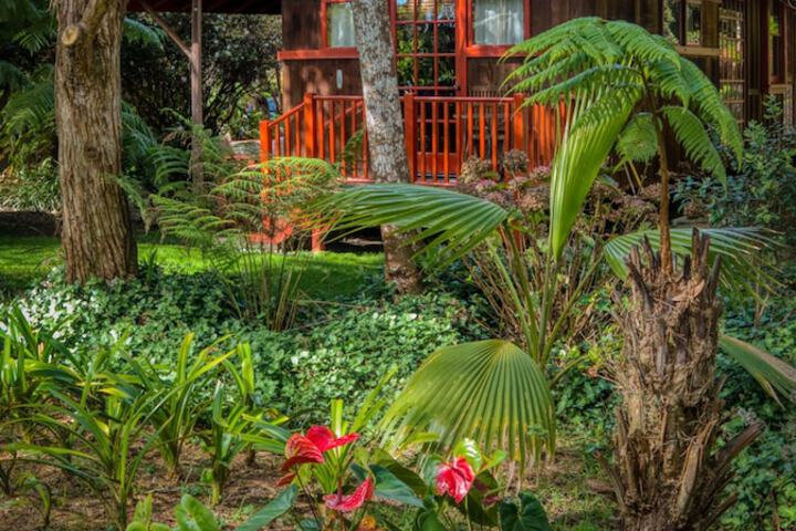 Crater Rim Cabin - thumb 1