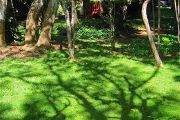 Crater Rim Cabin - thumb 5