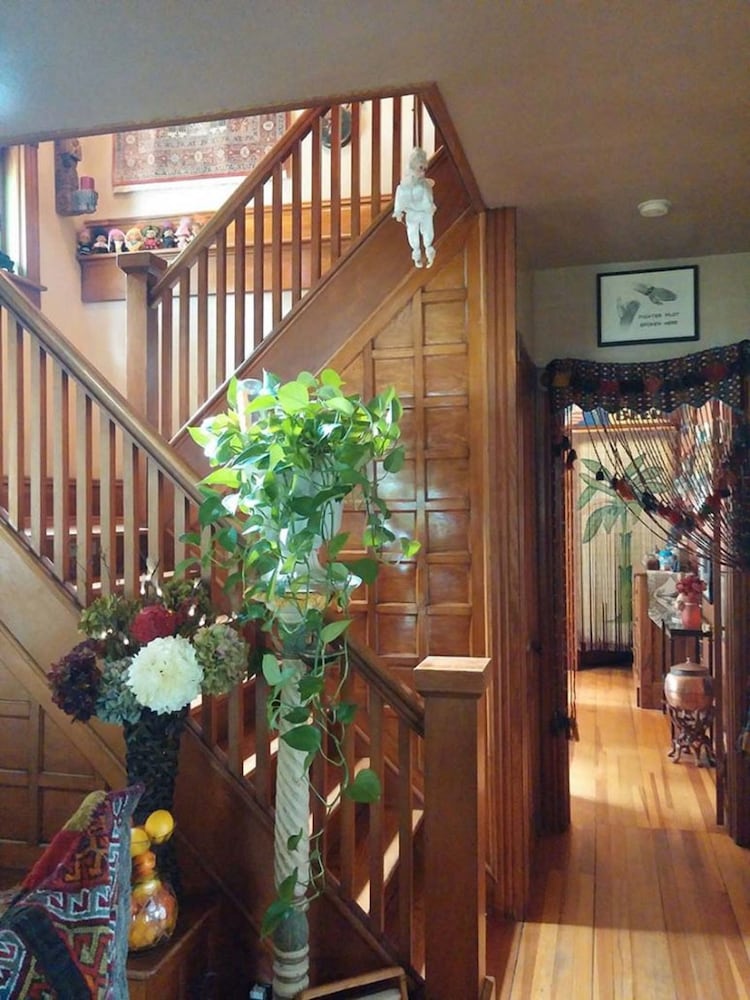 Oasis Bed And Breakfast - thumb 1