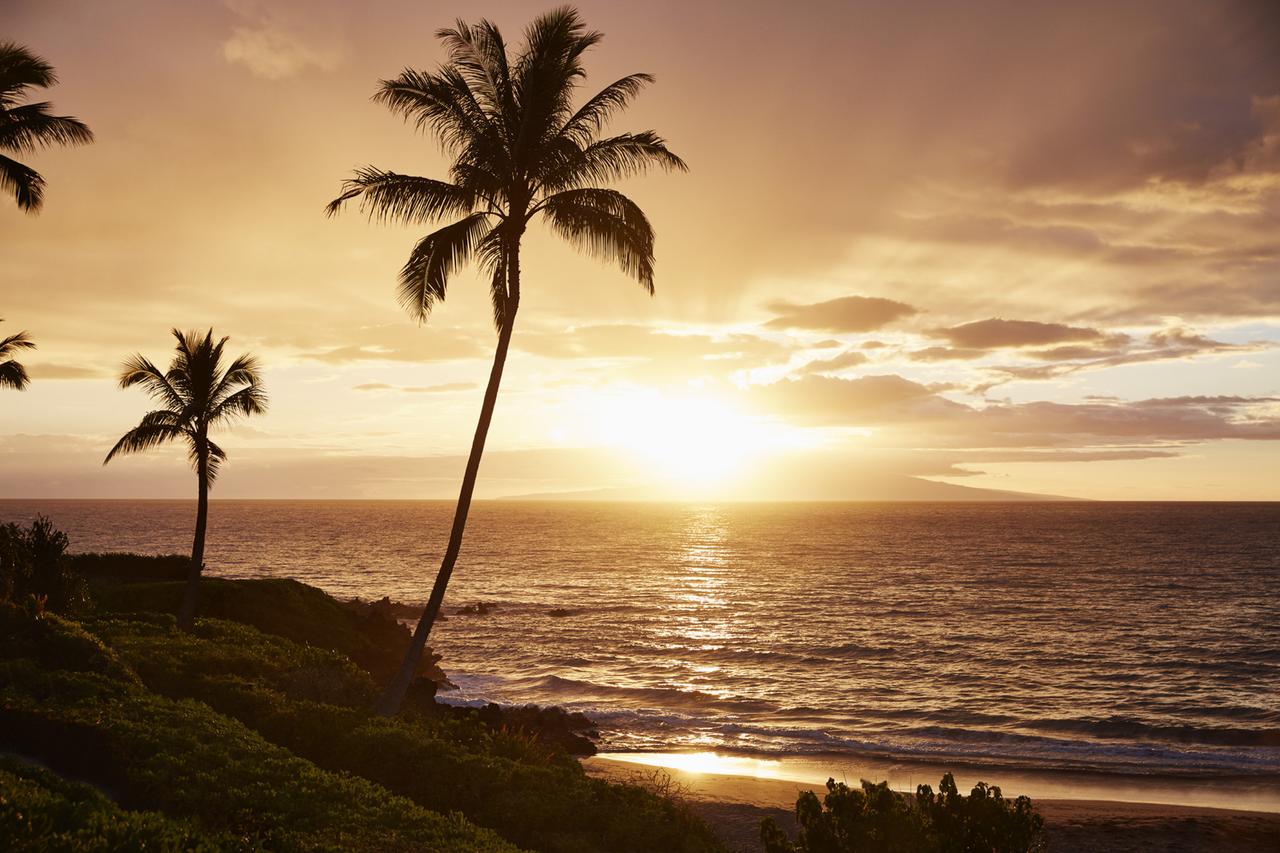 Four Seasons Resort Maui At Wailea - thumb 35