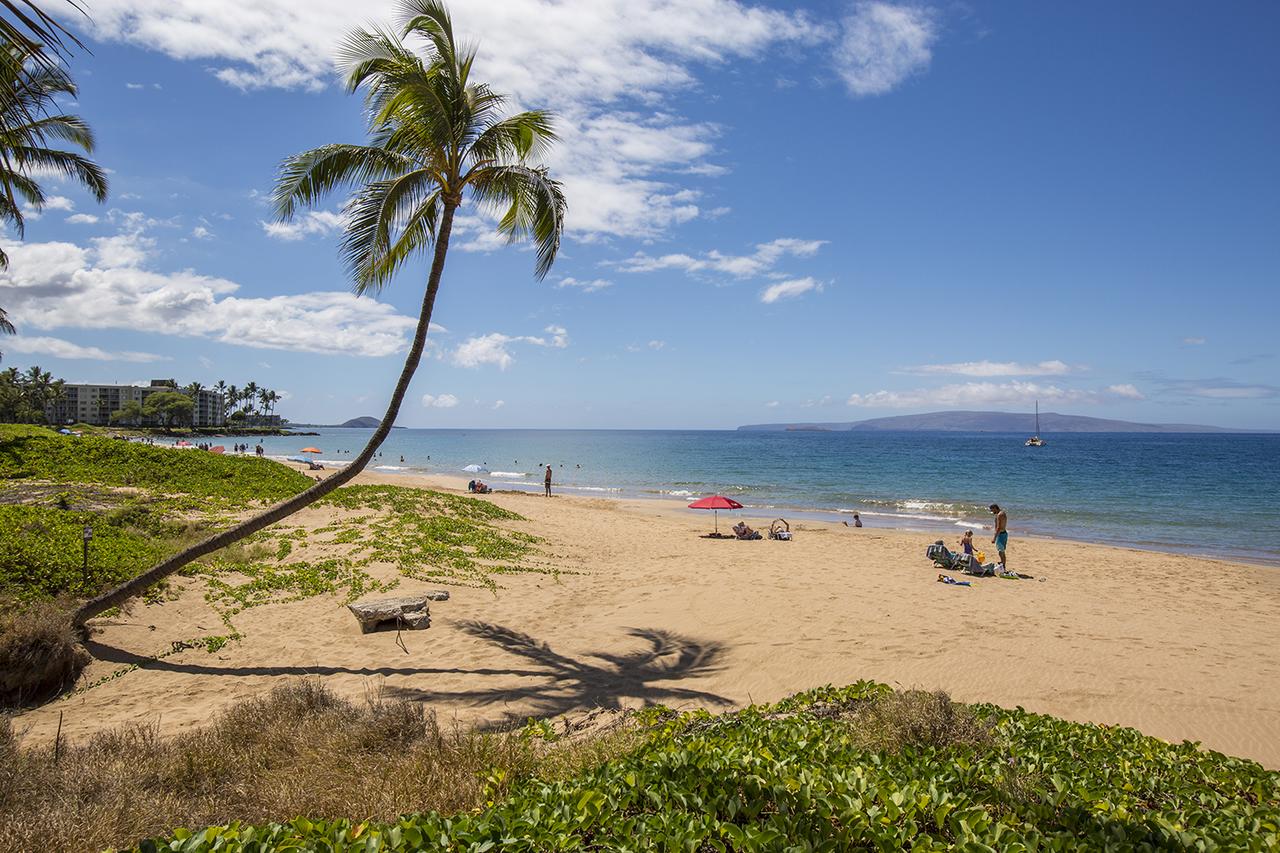 Kihei Garden Estates G102 - One Bedroom Condo - thumb 16