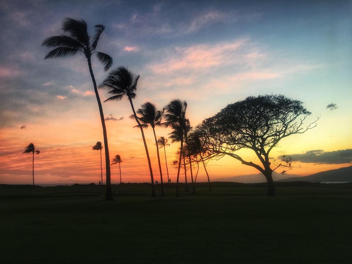 Kihei Garden Estates G102 - One Bedroom Condo - thumb 14