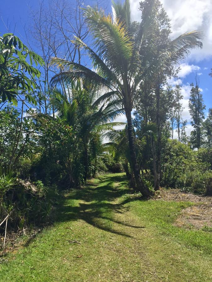 House Of Honu (Turtles), Hawai'i - thumb 14