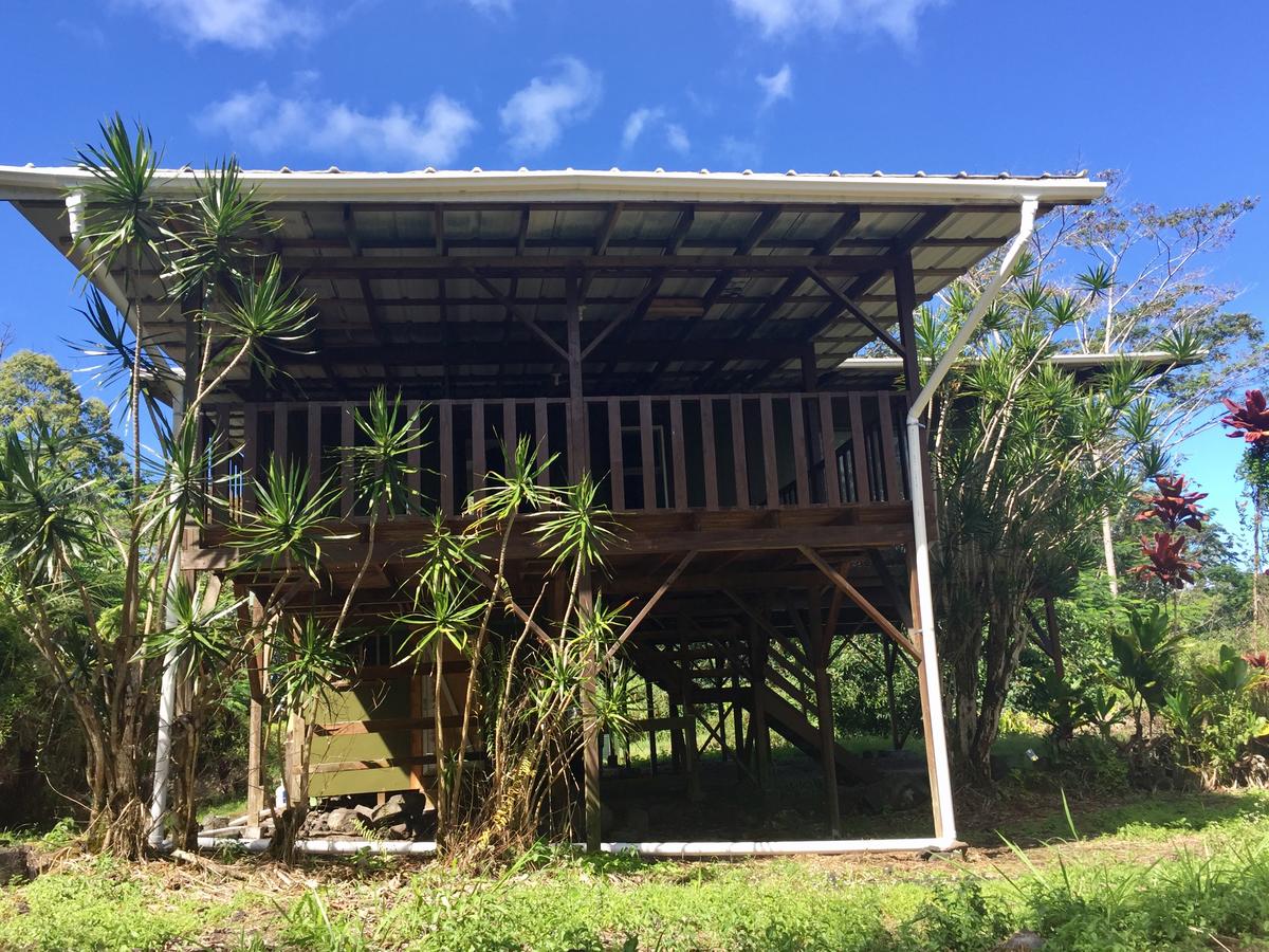 House Of Honu (Turtles), Hawai'i - thumb 13