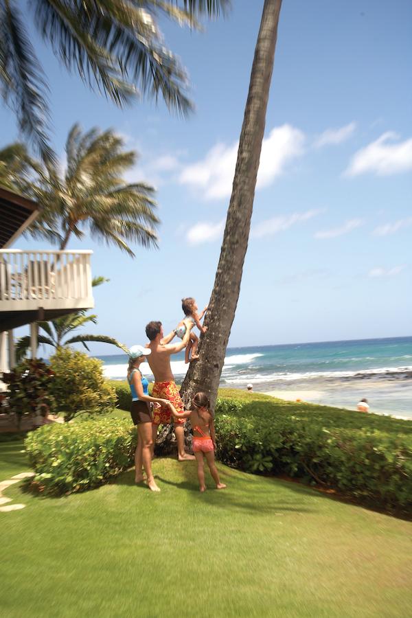 Kiahuna Plantation Resort Kauai By Outrigger - thumb 18