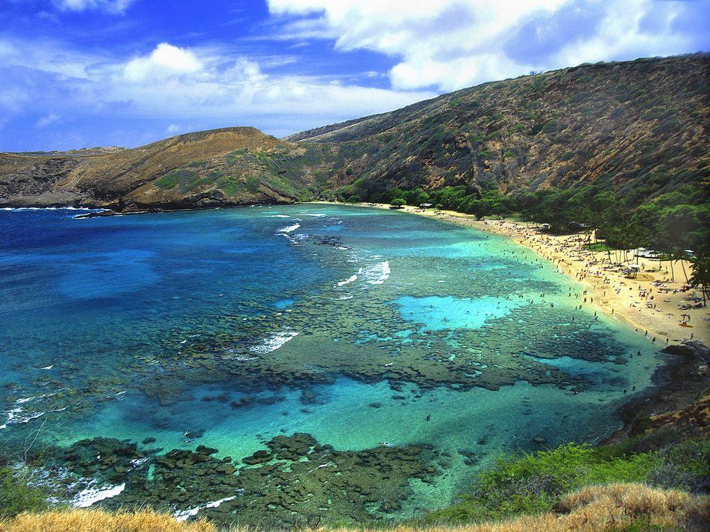 A Hidden Jewel In Honolulu - thumb 4