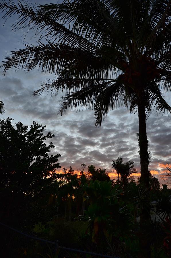 Big Island Hideaway. Aloha Big Island Style - thumb 34