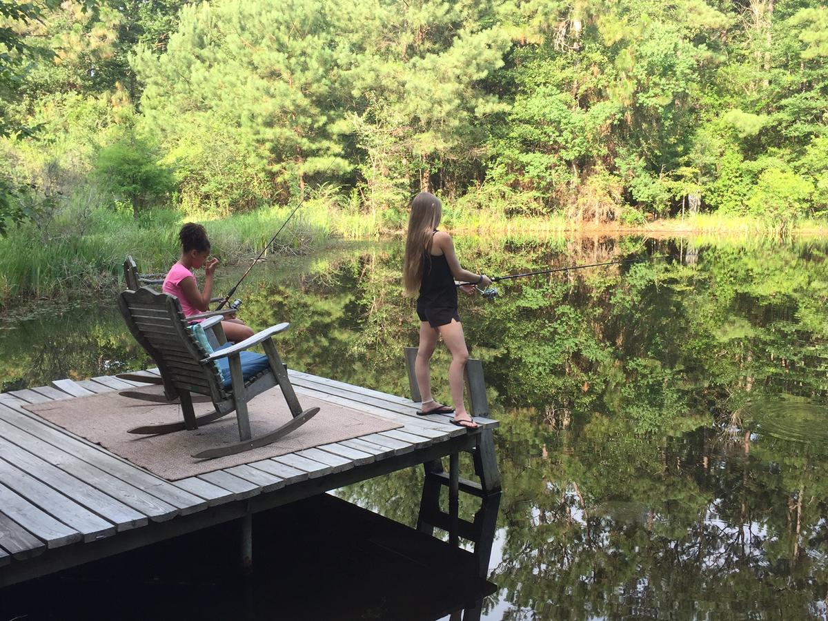 The Meadow Cabin - thumb 22