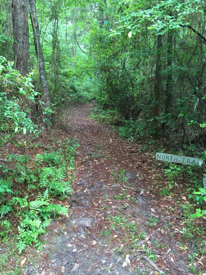 The Meadow Cabin - thumb 13