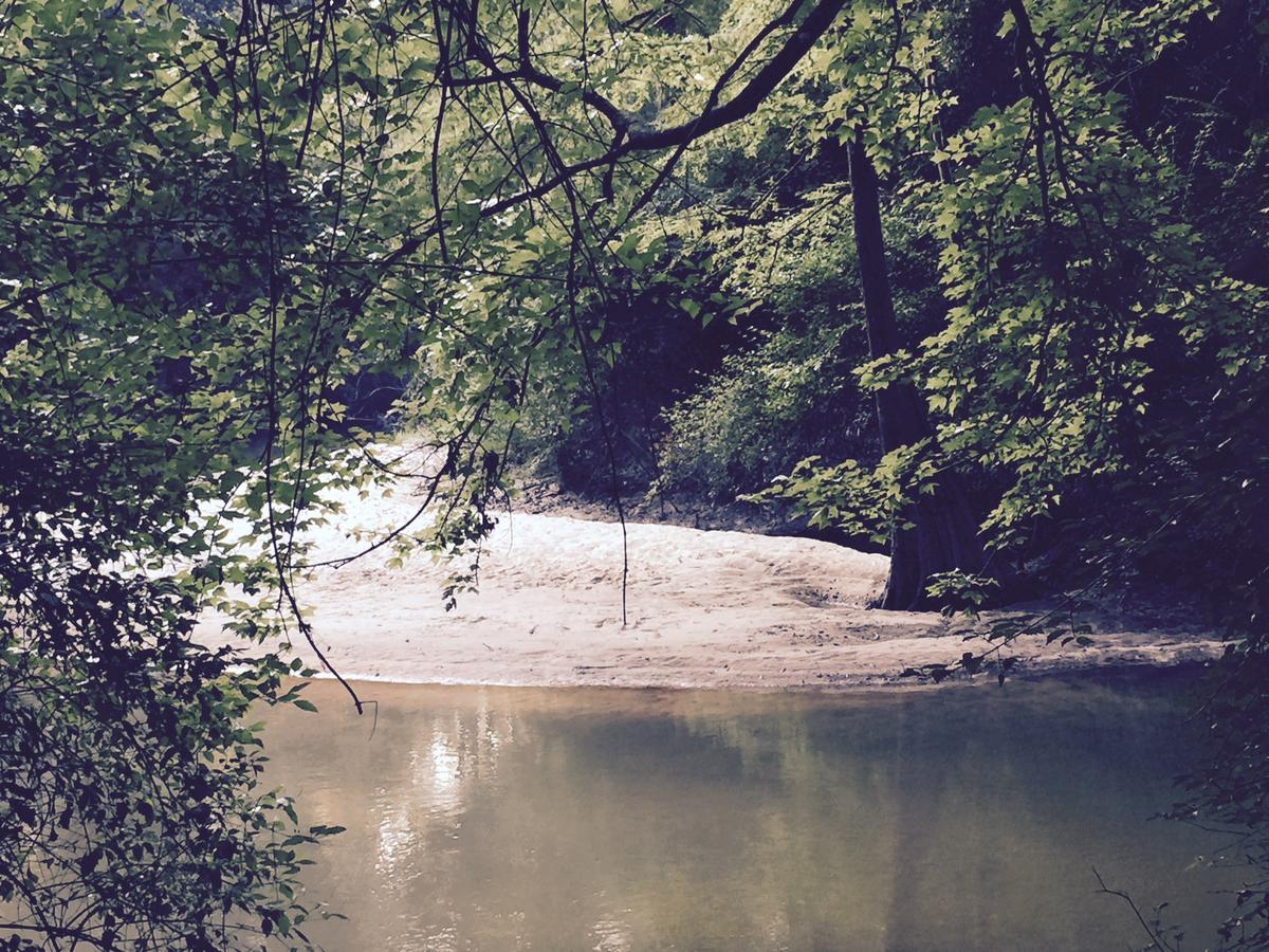 The Meadow Cabin - thumb 20