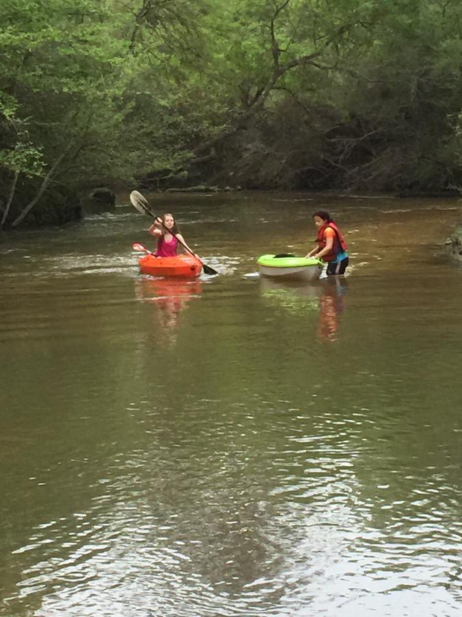 The Meadow Cabin - thumb 19