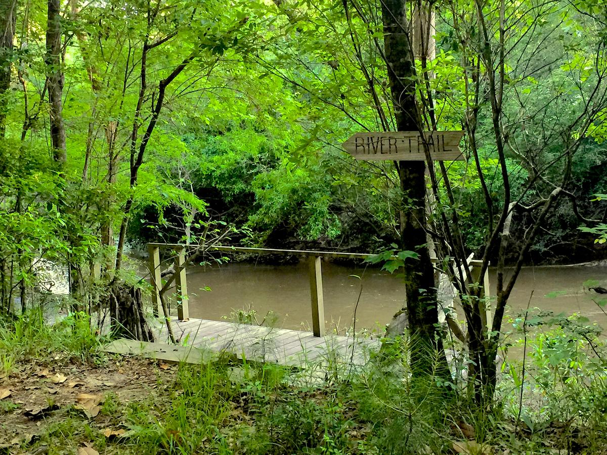 The Meadow Cabin - thumb 15