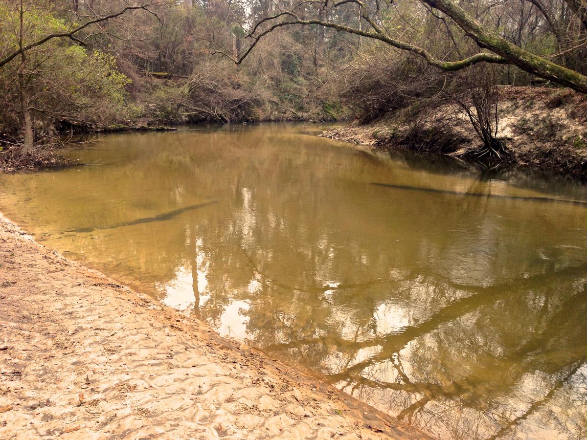 The Meadow Cabin - thumb 14