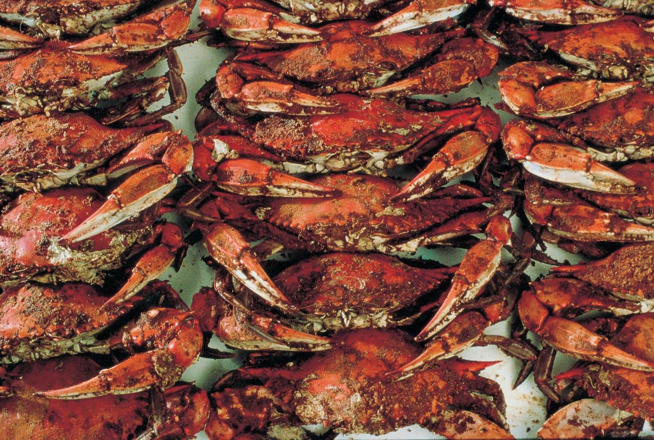 Hilton Baltimore BWI Airport - thumb 39