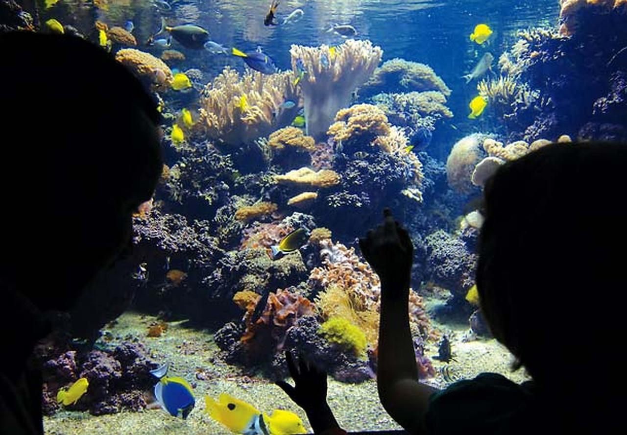 Courtyard By Marriott Baltimore BWI Airport - thumb 16