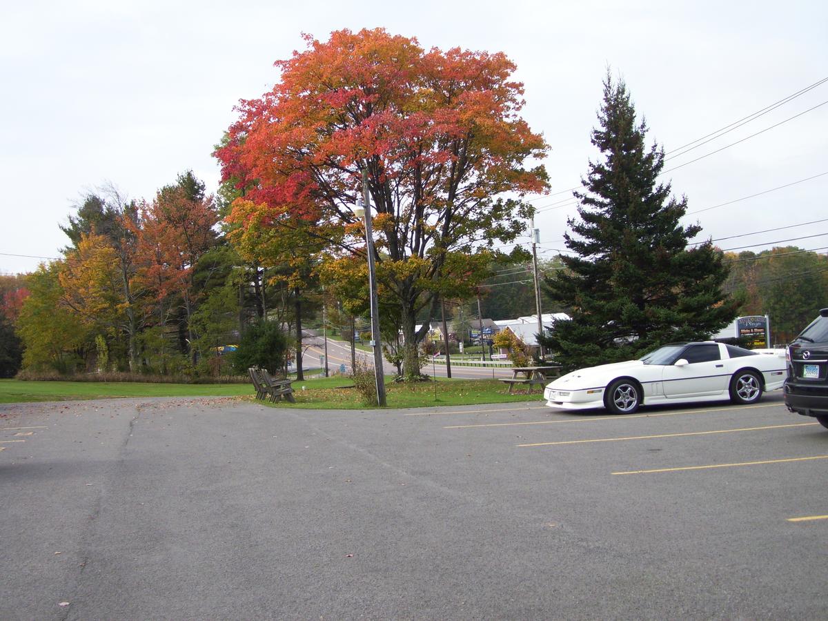 The Garrett Inn - thumb 35