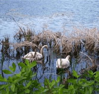 House on Boland Pond - Accommodation Deal