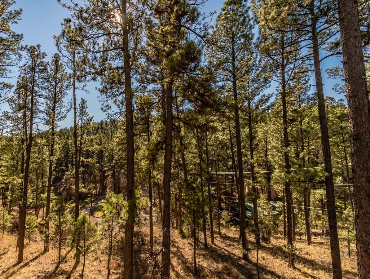 My Happy Place, 3 Bedrooms, Hot Tub, Fireplace, Jetted Tub, WiFi, Sleeps 6 - thumb 41
