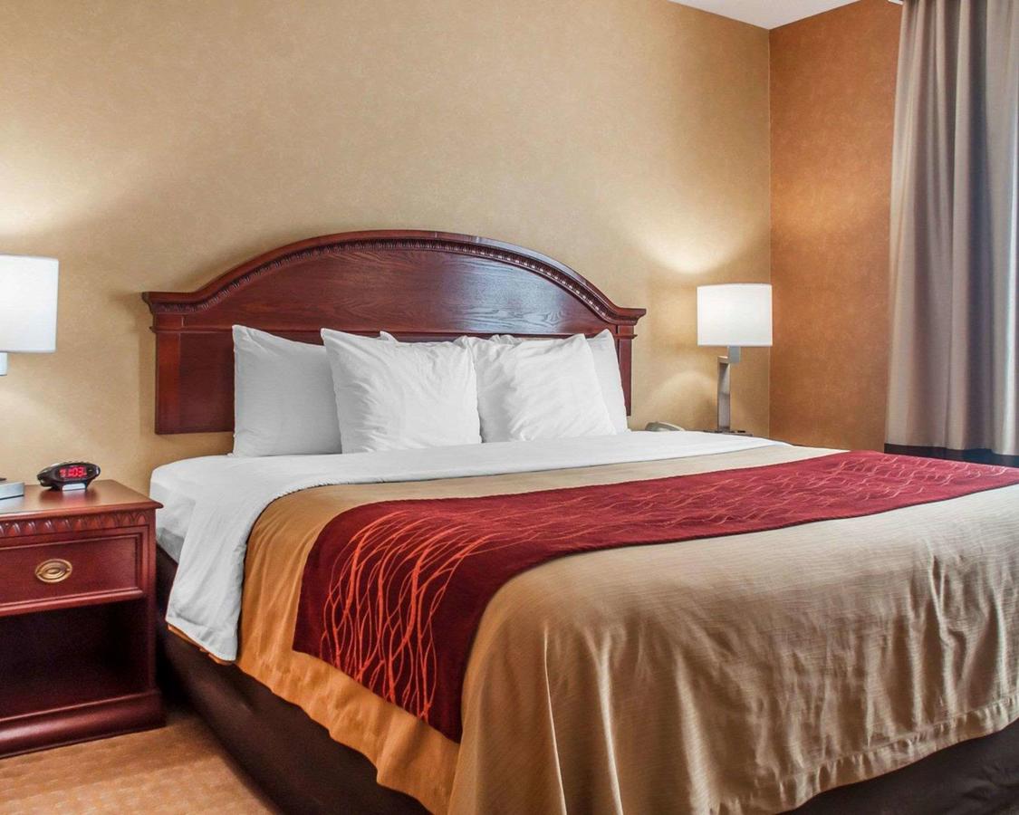 Comfort Inn Near Walden Galleria Mall- Cheektowaga - thumb 4