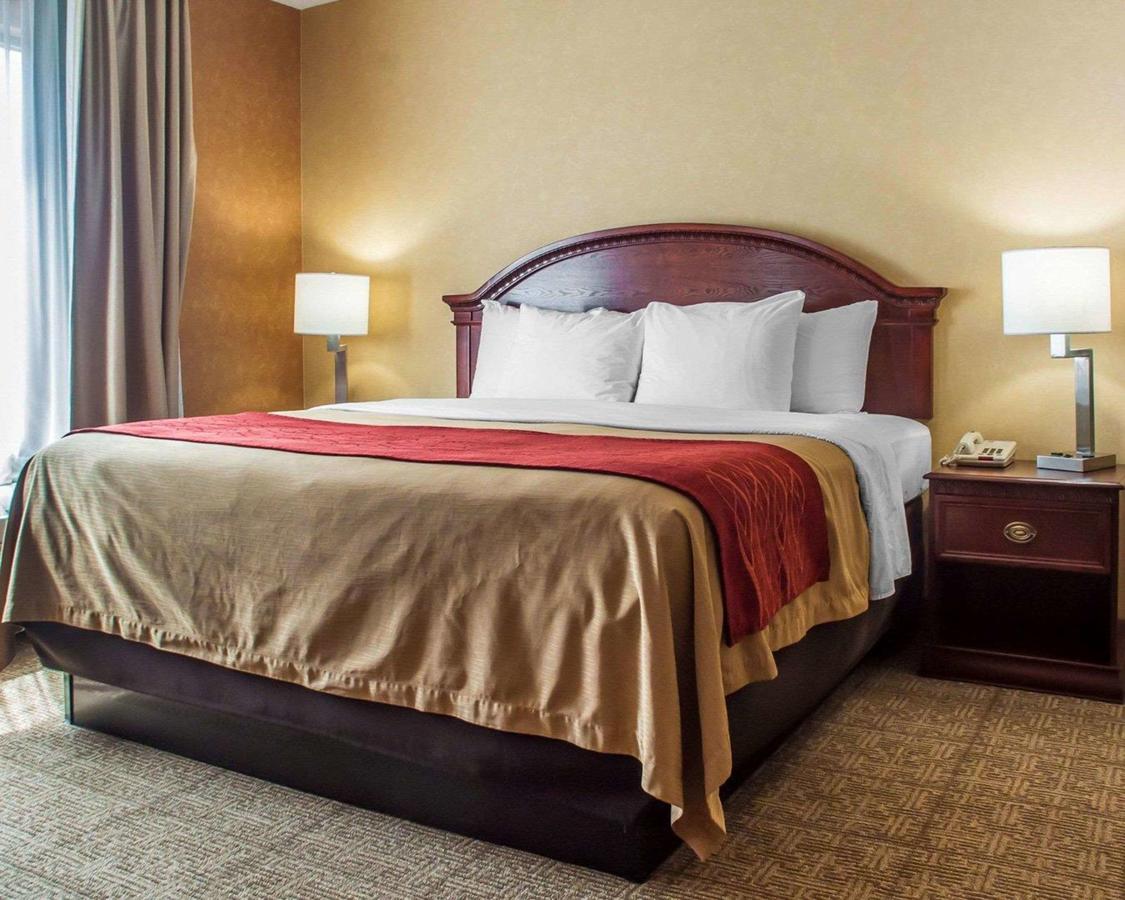 Comfort Inn Near Walden Galleria Mall- Cheektowaga - thumb 7
