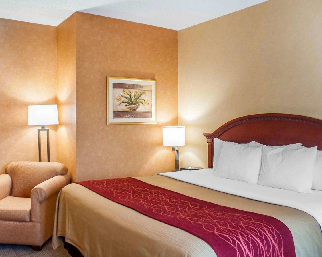 Comfort Inn Near Walden Galleria Mall- Cheektowaga - thumb 17