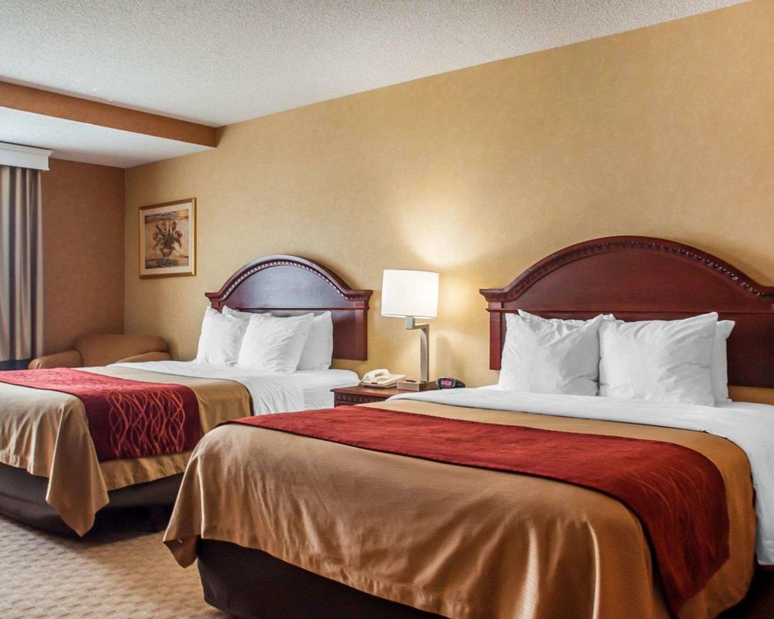 Comfort Inn Near Walden Galleria Mall- Cheektowaga - thumb 20