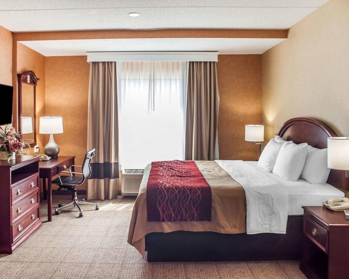 Comfort Inn Near Walden Galleria Mall- Cheektowaga - thumb 21