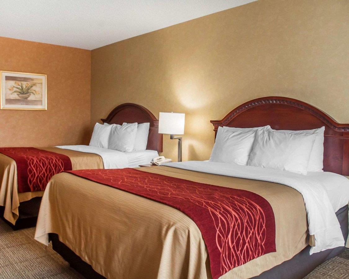 Comfort Inn Near Walden Galleria Mall- Cheektowaga - thumb 31