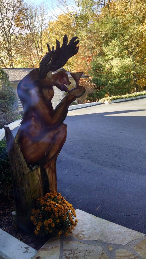 Skyline Lodge And Restaurant - thumb 12