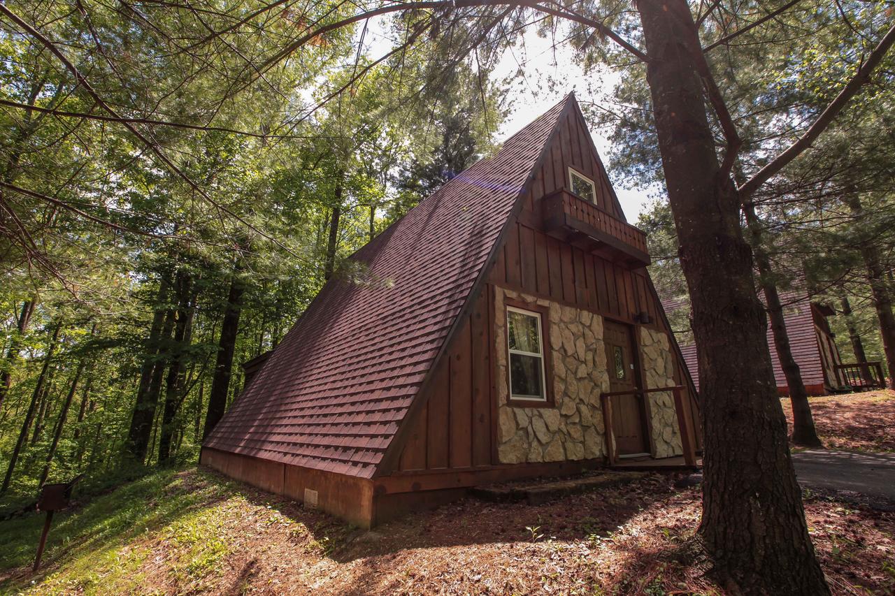A-Frame #16 - Hocking Hills Home - thumb 15