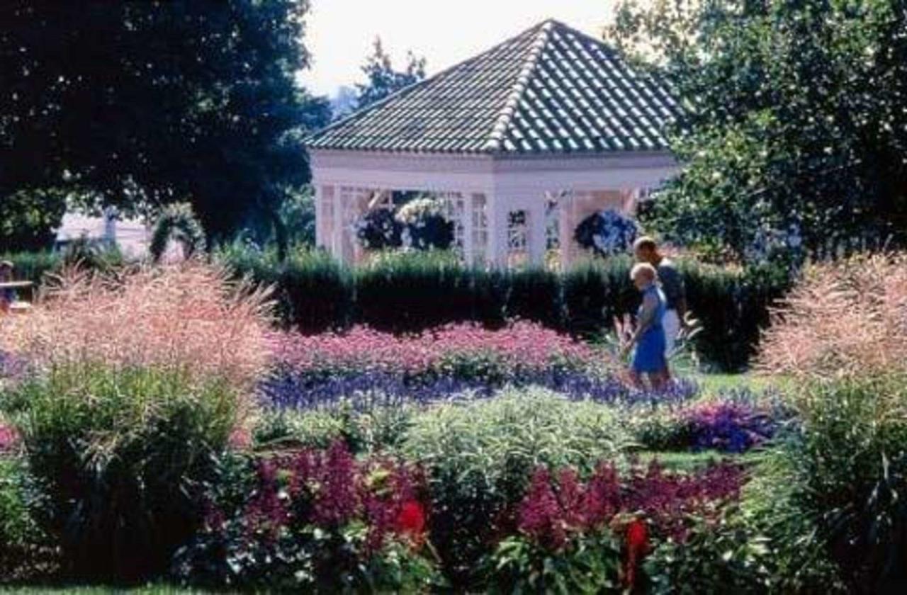 Comfort Inn At The Park - thumb 5