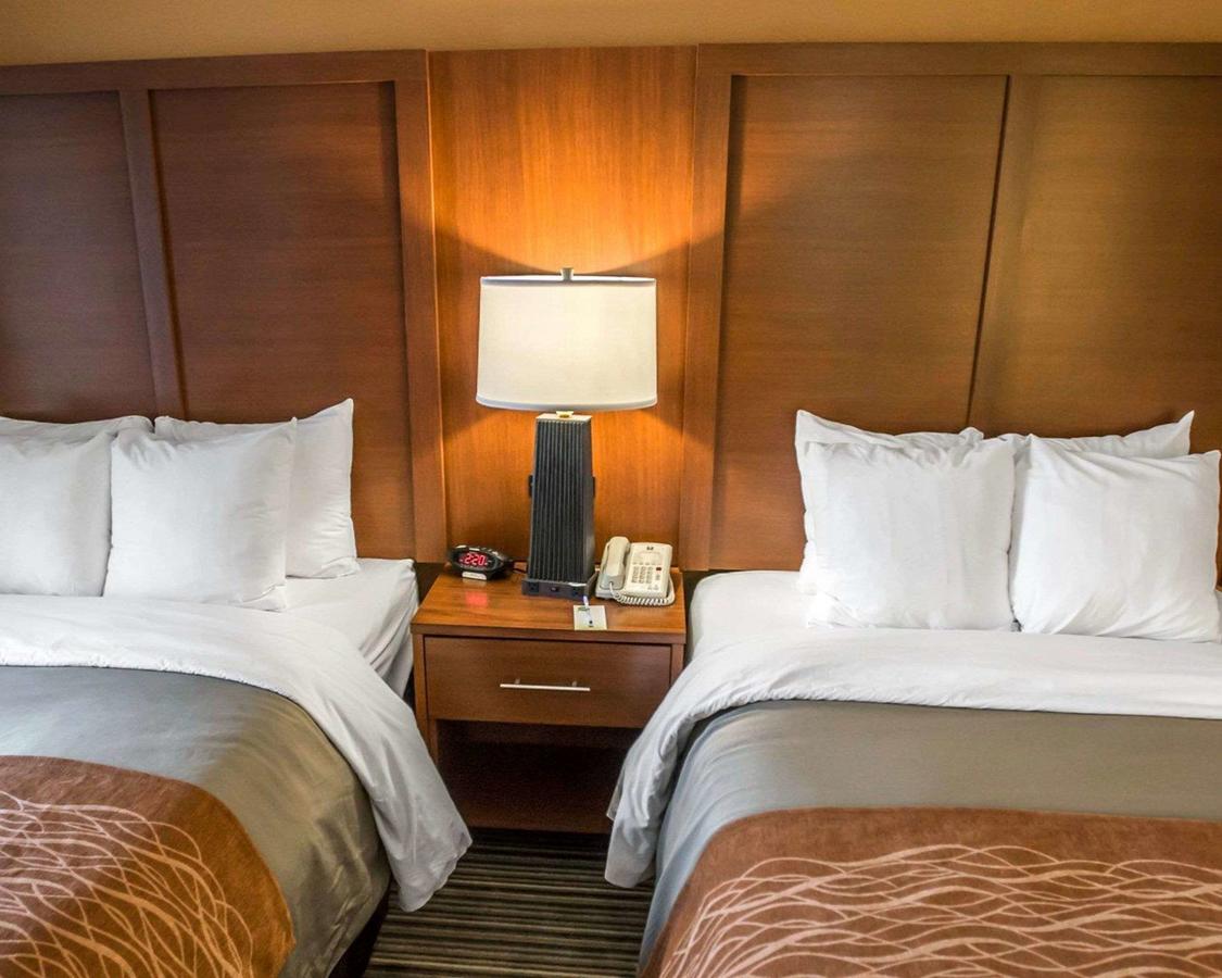 Comfort Inn At The Park - thumb 3