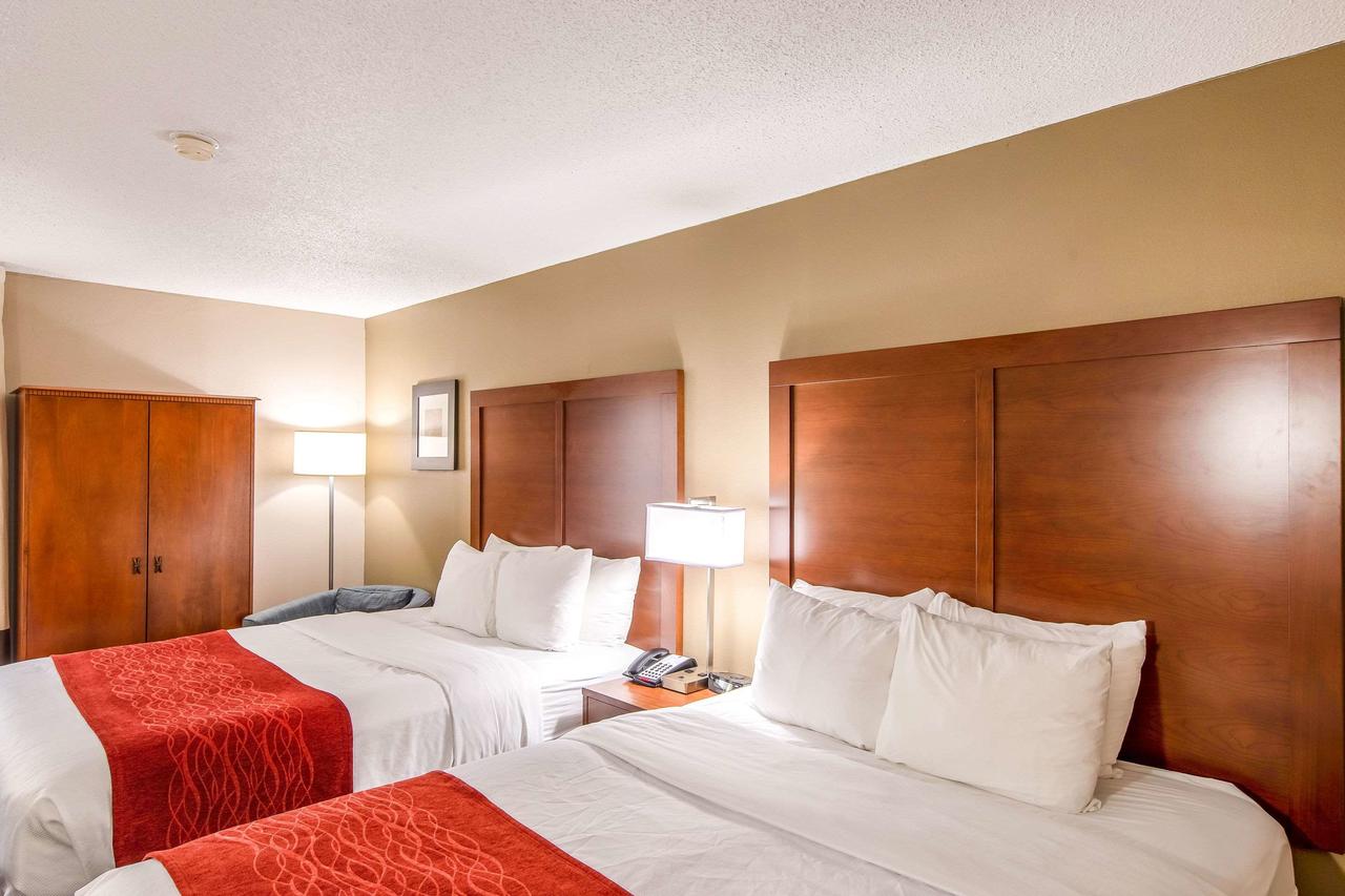 Comfort Inn Greenville - Haywood Mall - thumb 28