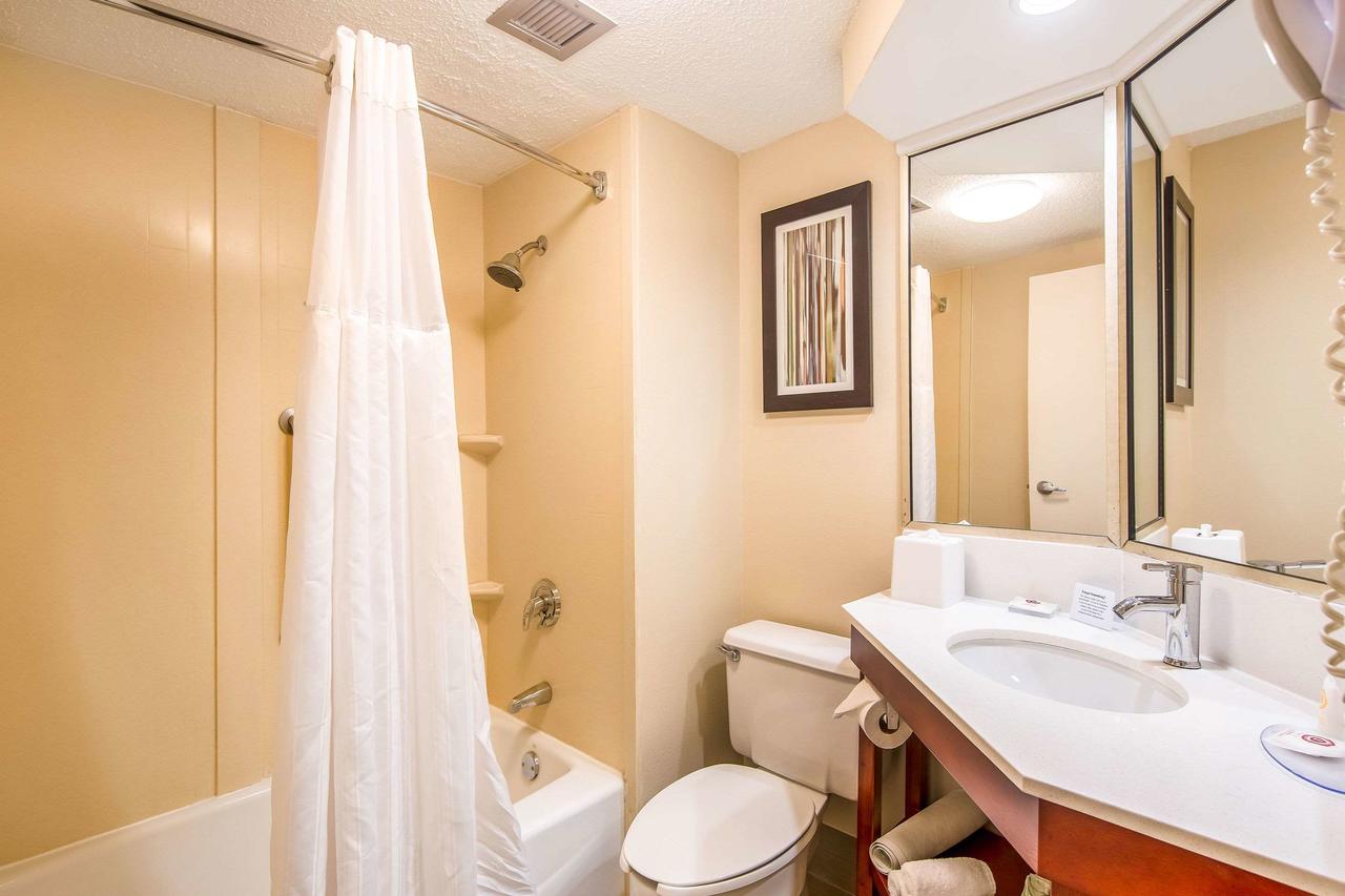 Comfort Inn Greenville - Haywood Mall - thumb 12